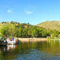 زریوار